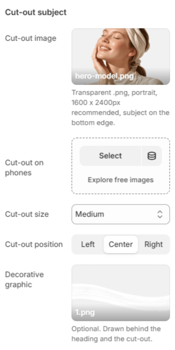 Cut-out subject settings